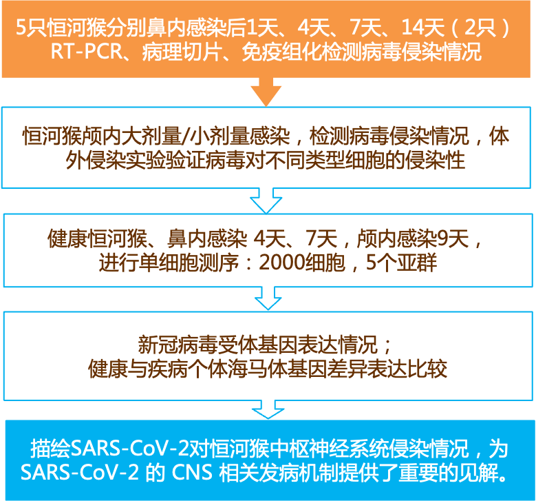 2025新澳正版资料最新更新;-精选解析，前沿解答解释落实_3d824.72.45