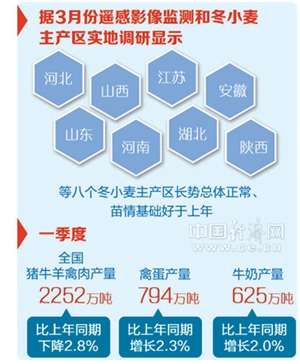 管家婆一肖-一码-一中;-精选解析，全面贯彻解释落实